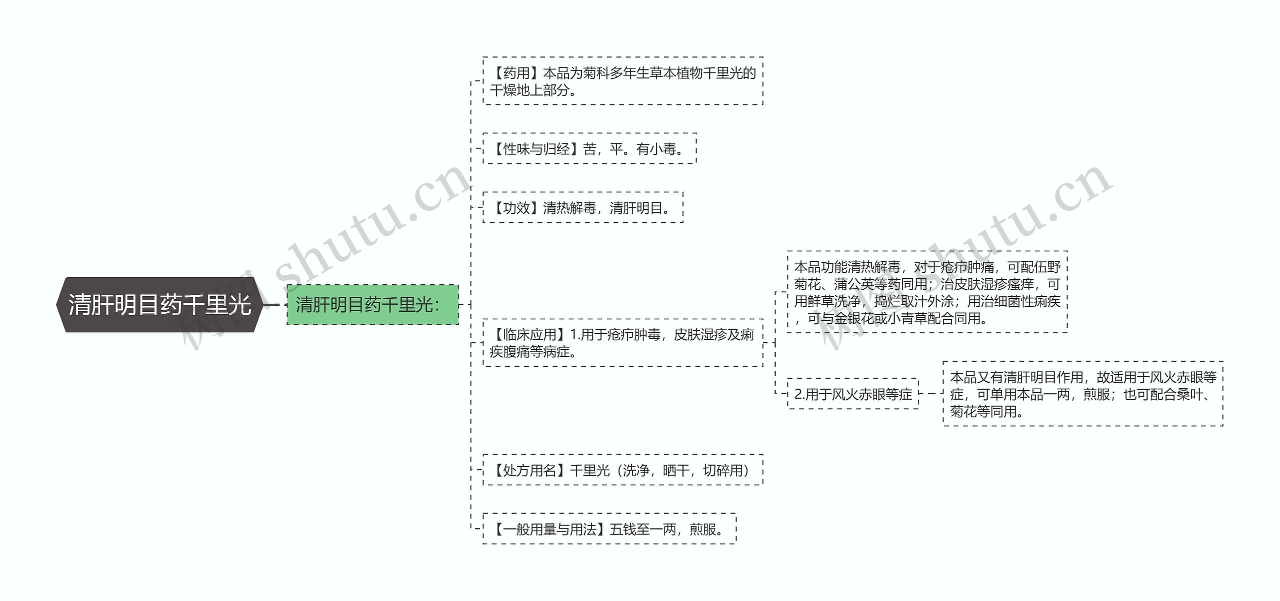 清肝明目药千里光思维导图