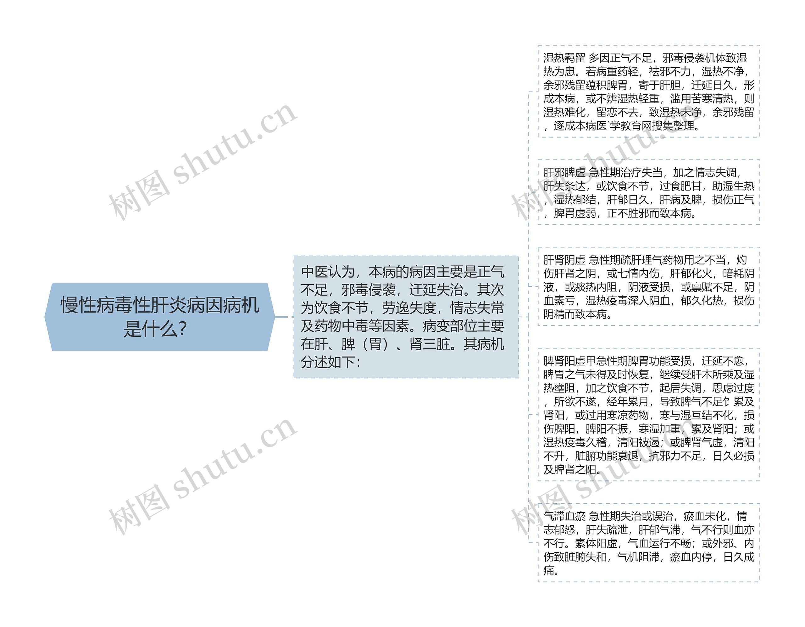 慢性病毒性肝炎病因病机是什么？