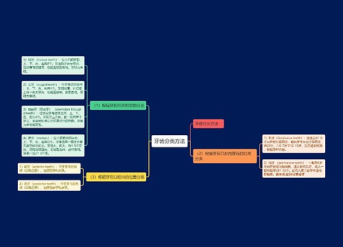 牙齿分类方法