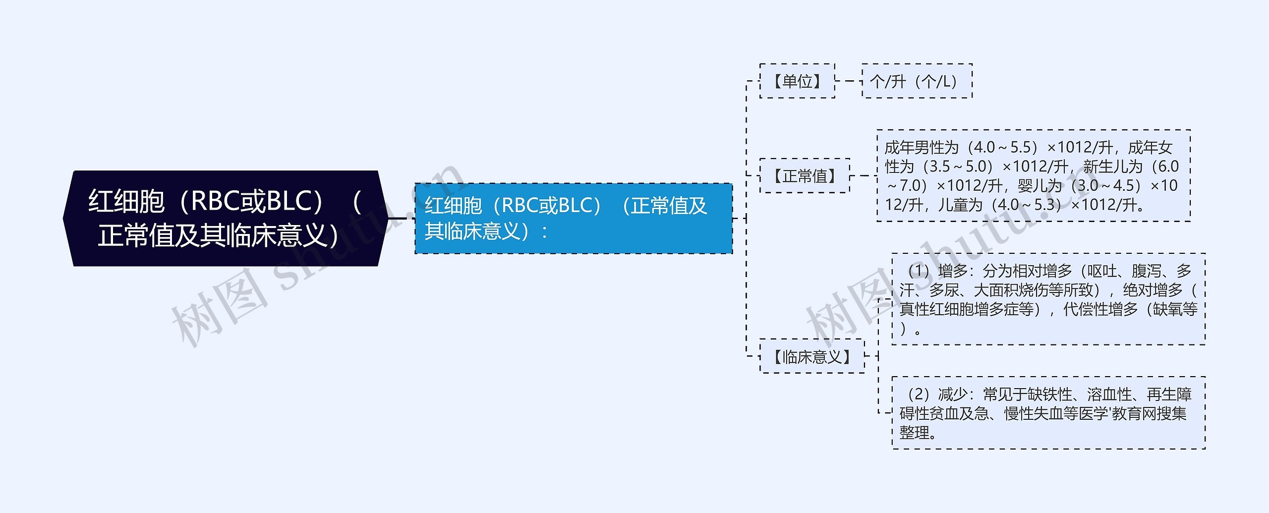 红细胞（RBC或BLC）（正常值及其临床意义）思维导图