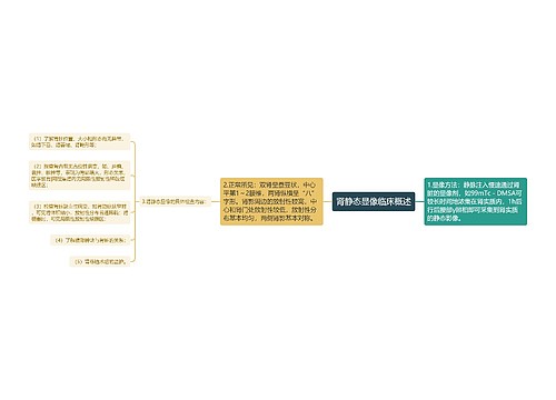 肾静态显像临床概述