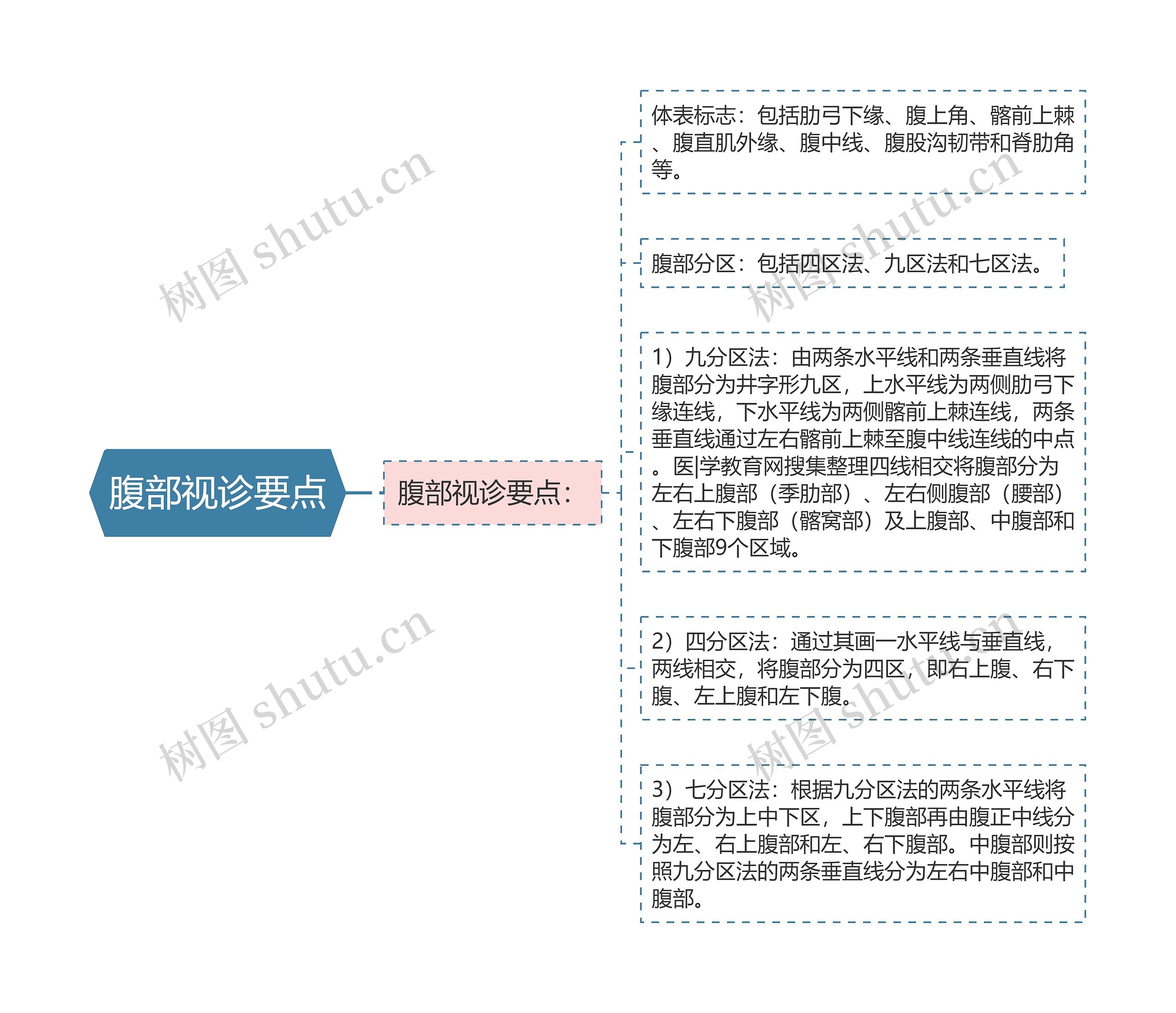 腹部视诊要点