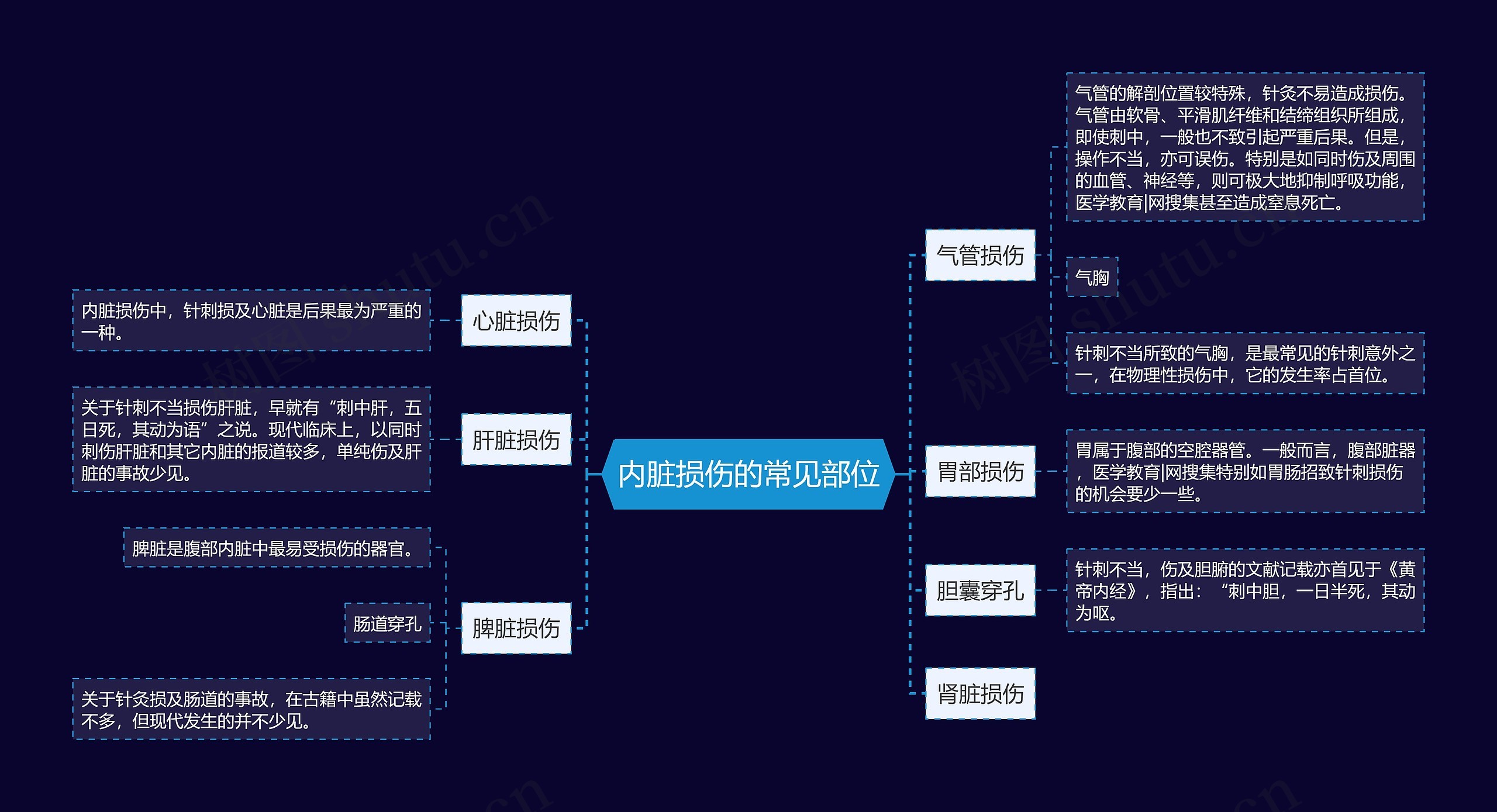 内脏损伤的常见部位