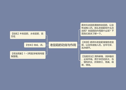 老鼠簕的功效与作用