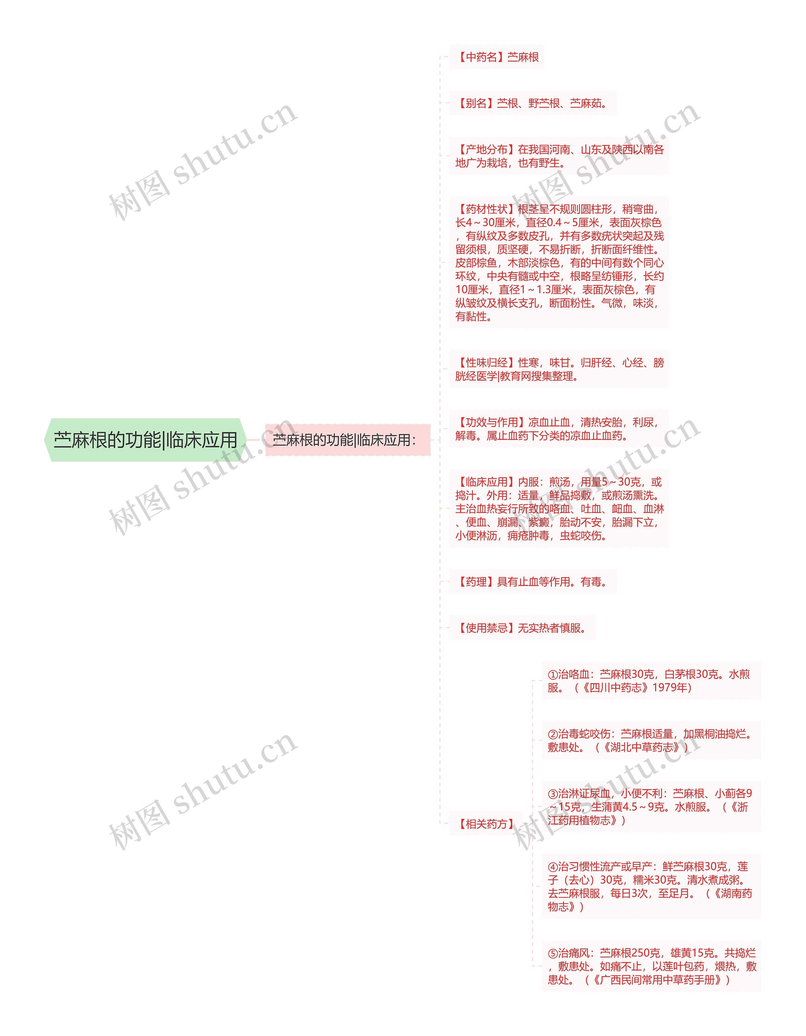 苎麻根的功能|临床应用思维导图