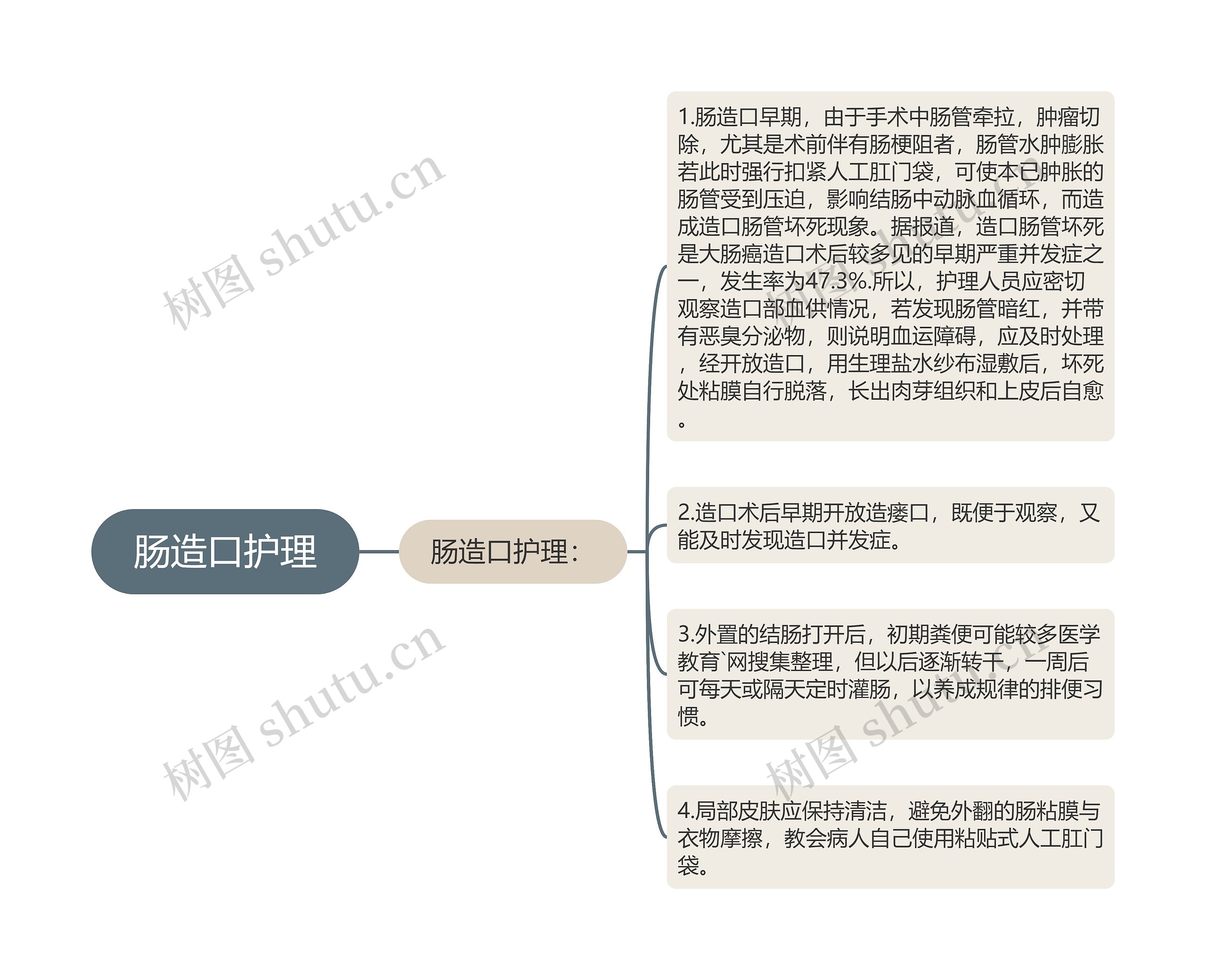 肠造口护理思维导图