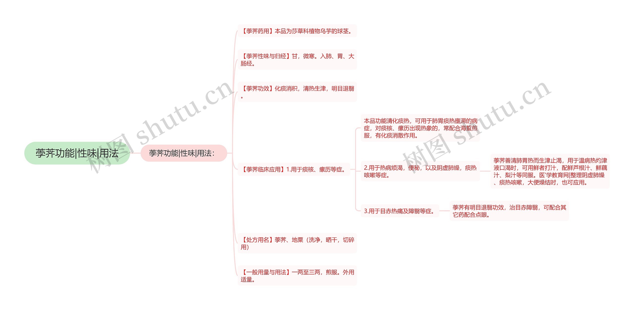 荸荠功能|性味|用法 荸荠功能|性味|用法