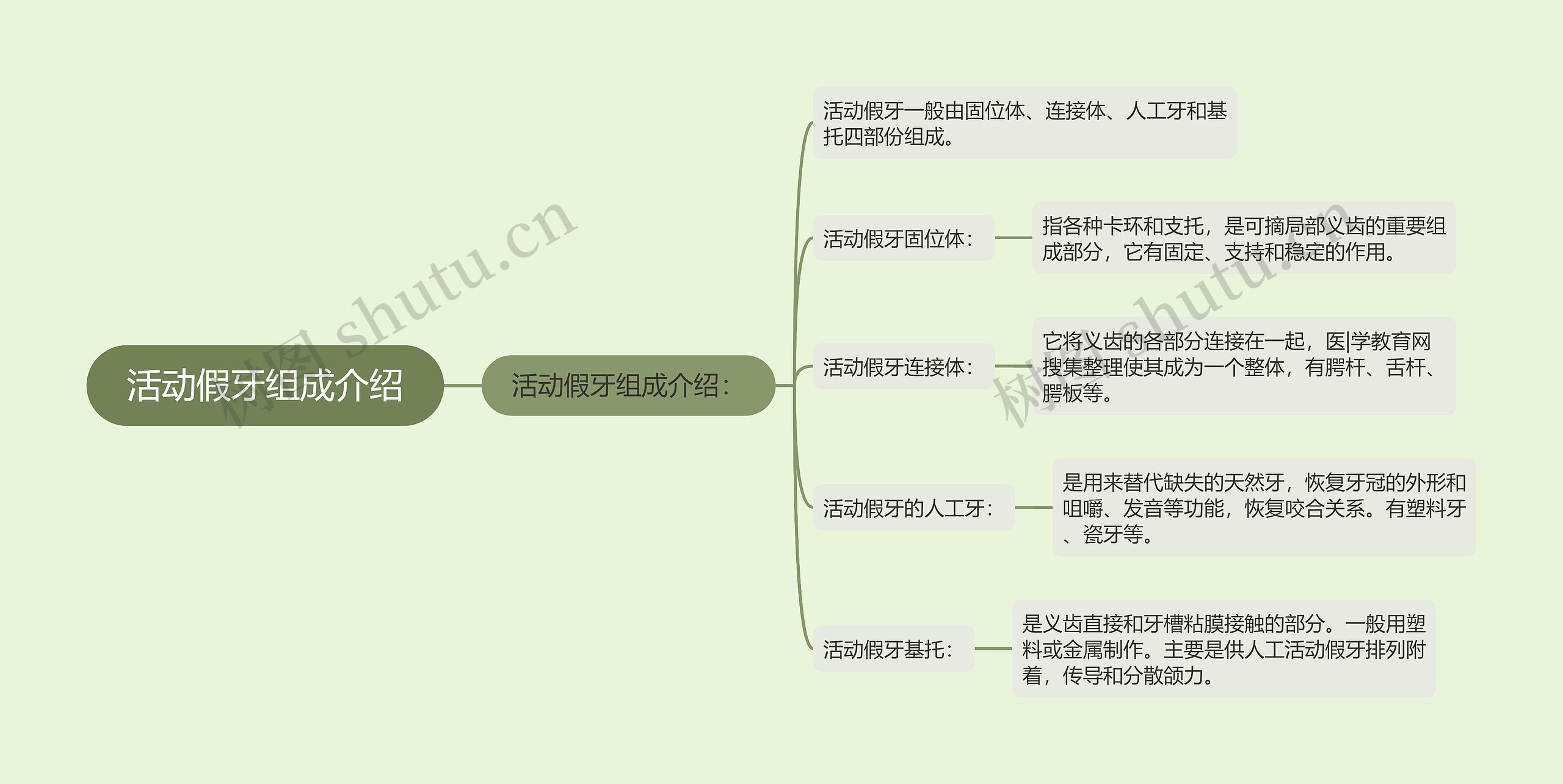 活动假牙组成介绍思维导图