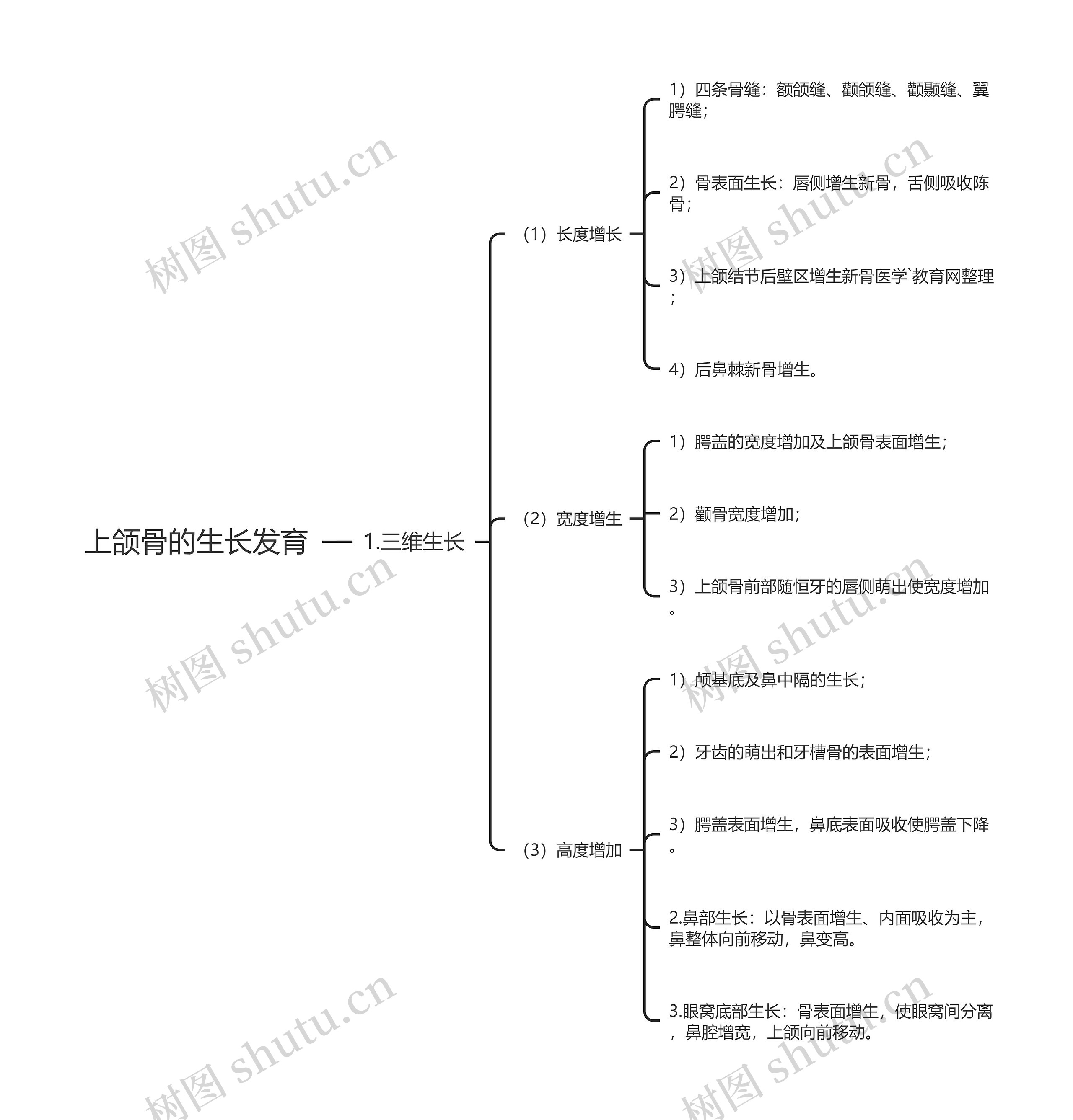 上颌骨的生长发育思维导图