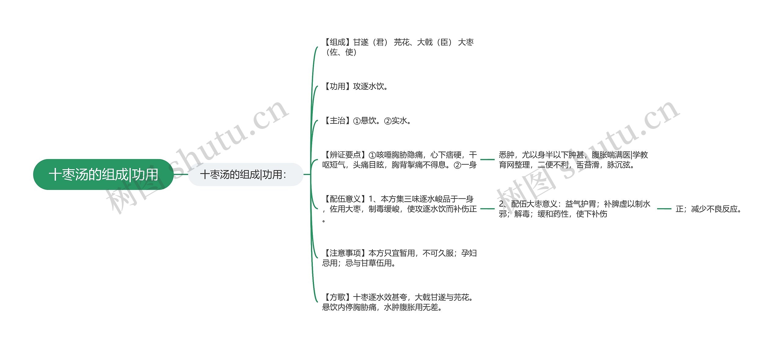 十枣汤的组成|功用思维导图