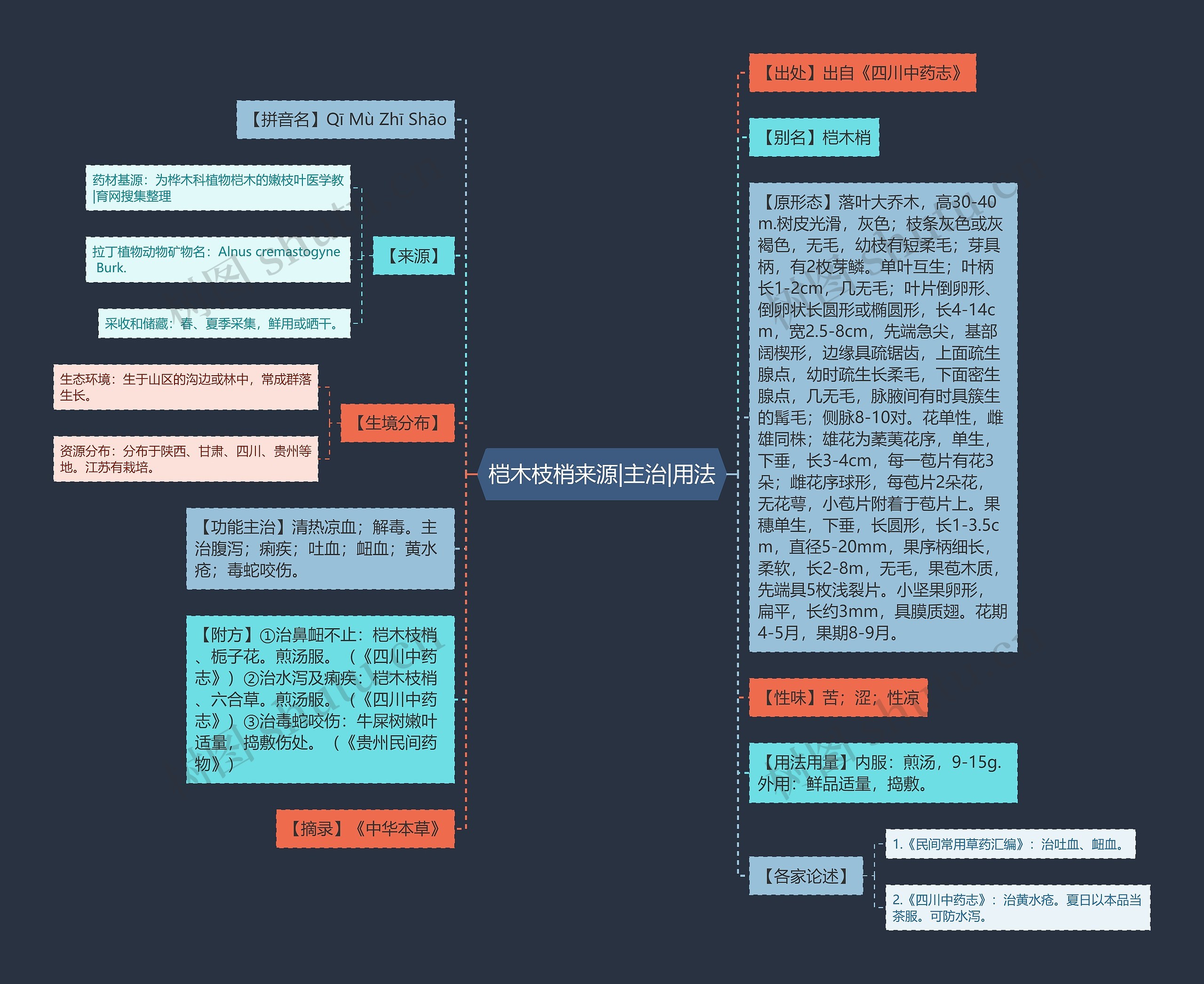 桤木枝梢来源|主治|用法思维导图