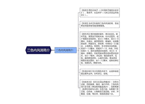 二色内风消简介