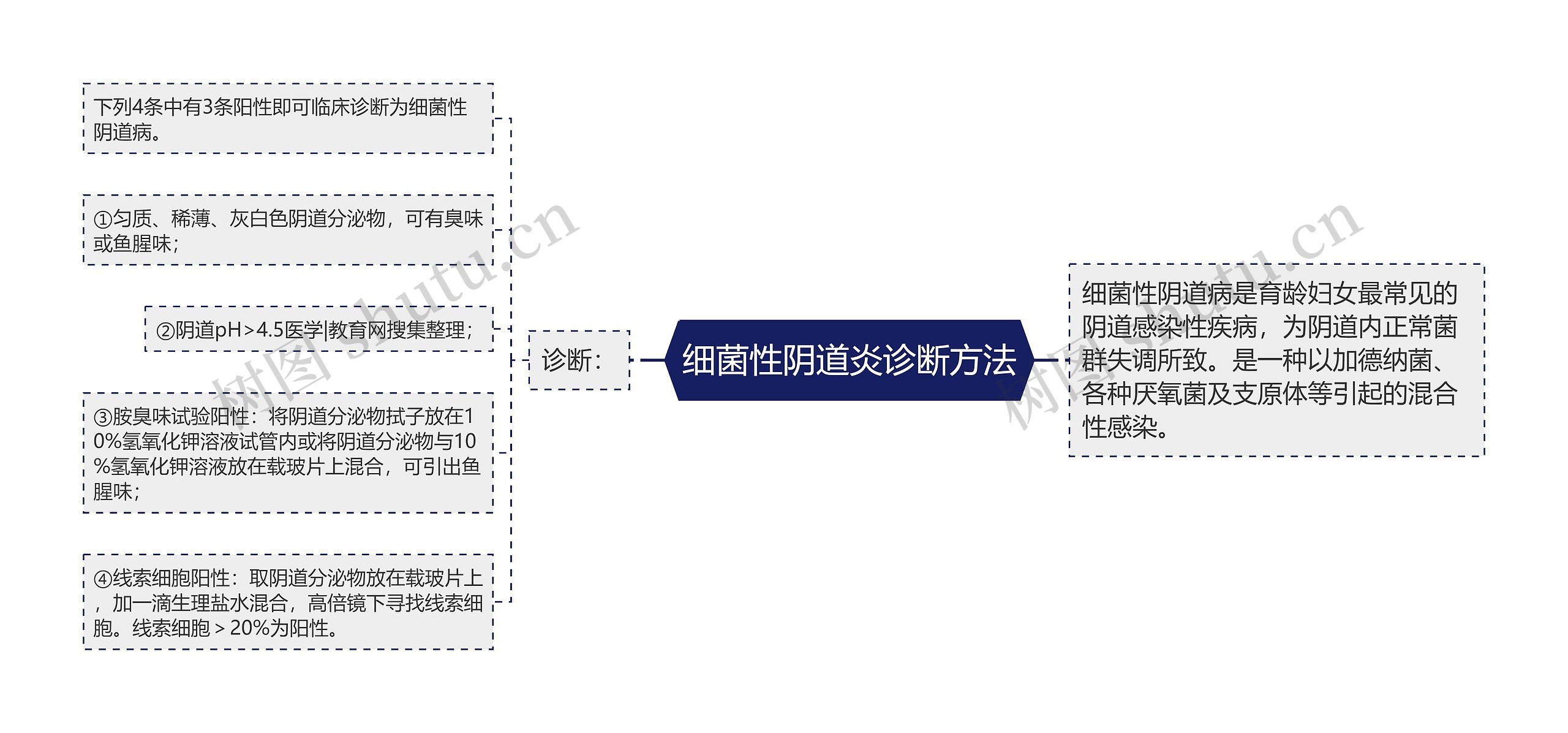 细菌性阴道炎诊断方法