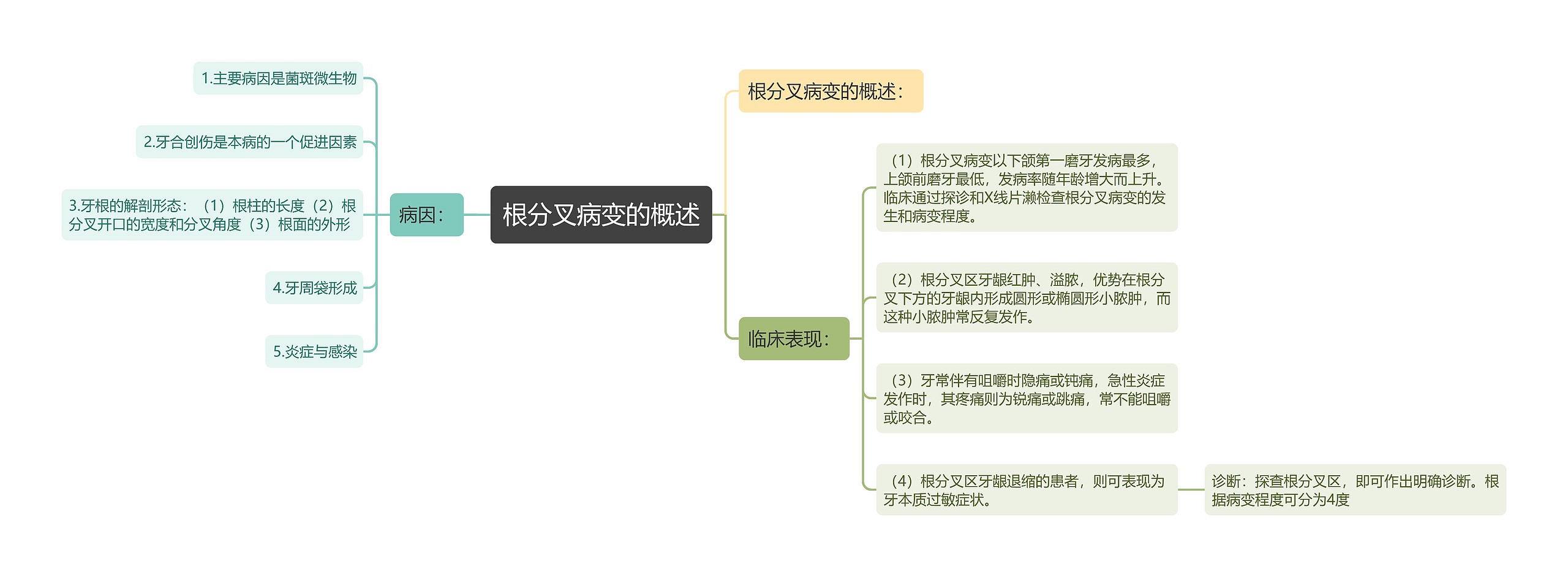 根分叉病变的概述思维导图