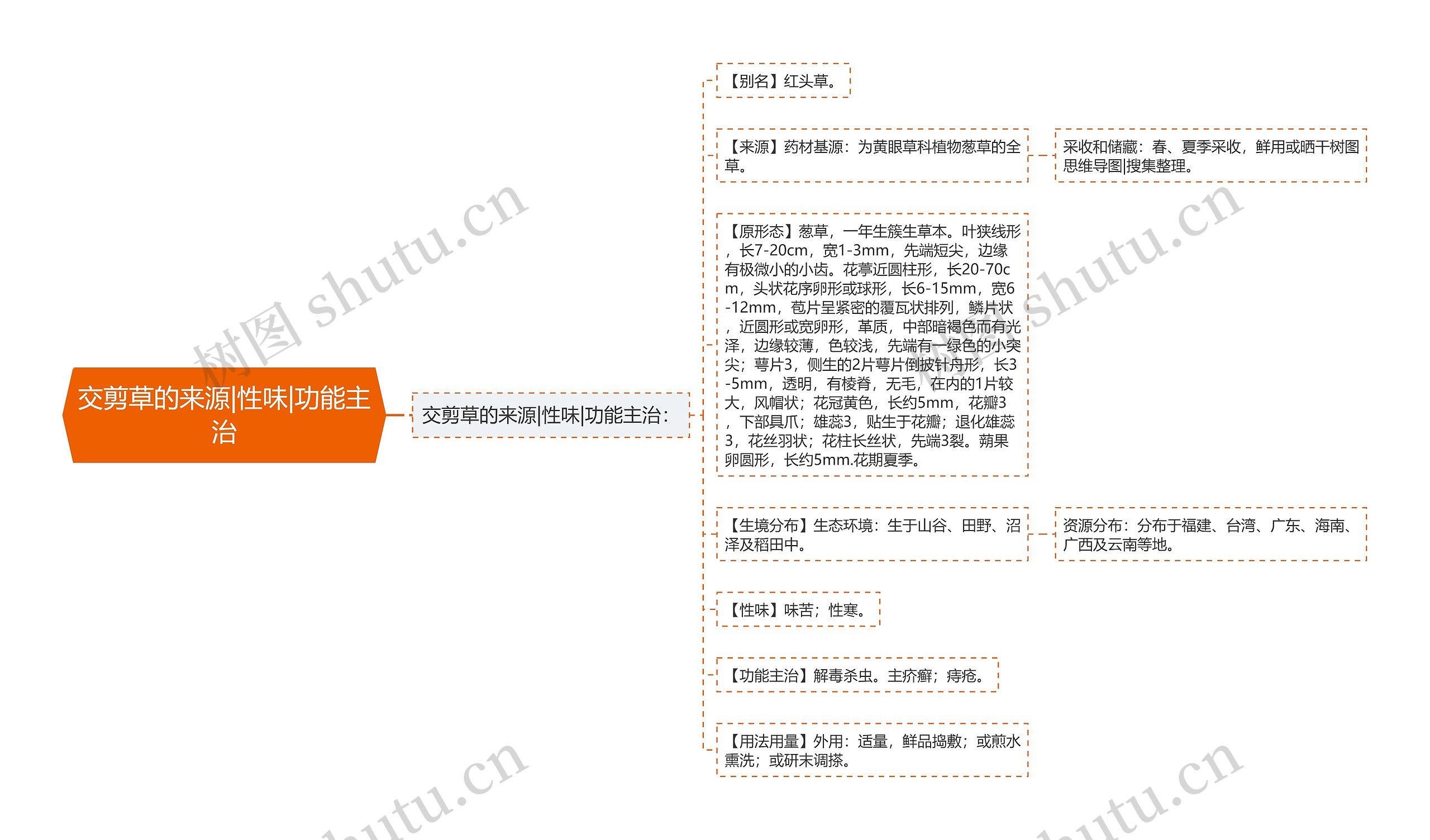 交剪草的来源|性味|功能主治思维导图