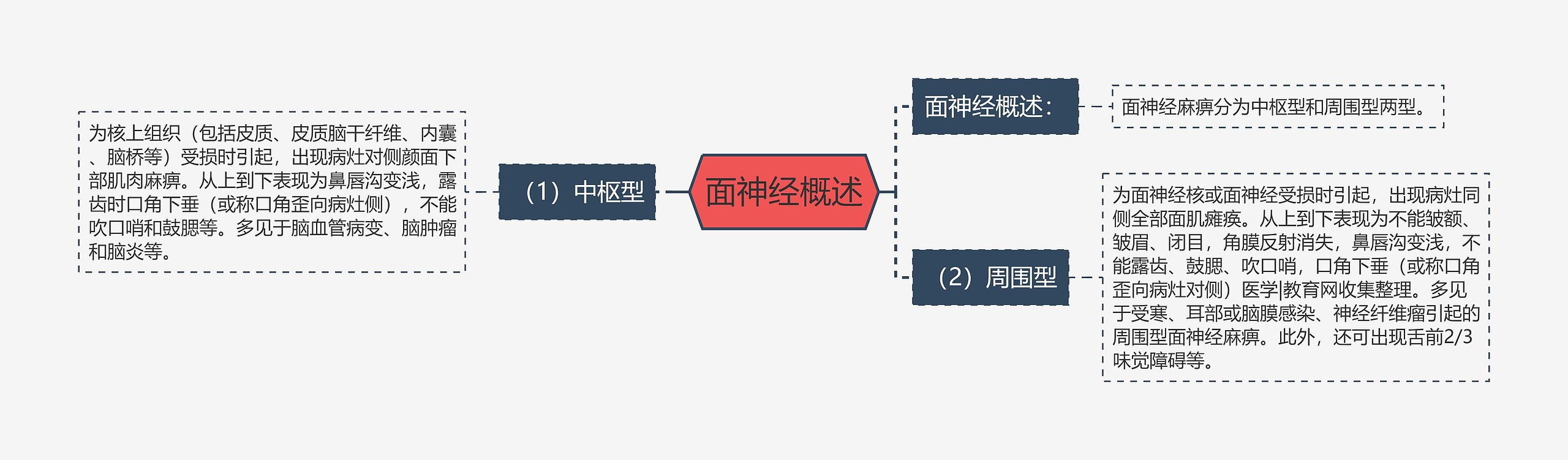 面神经概述思维导图