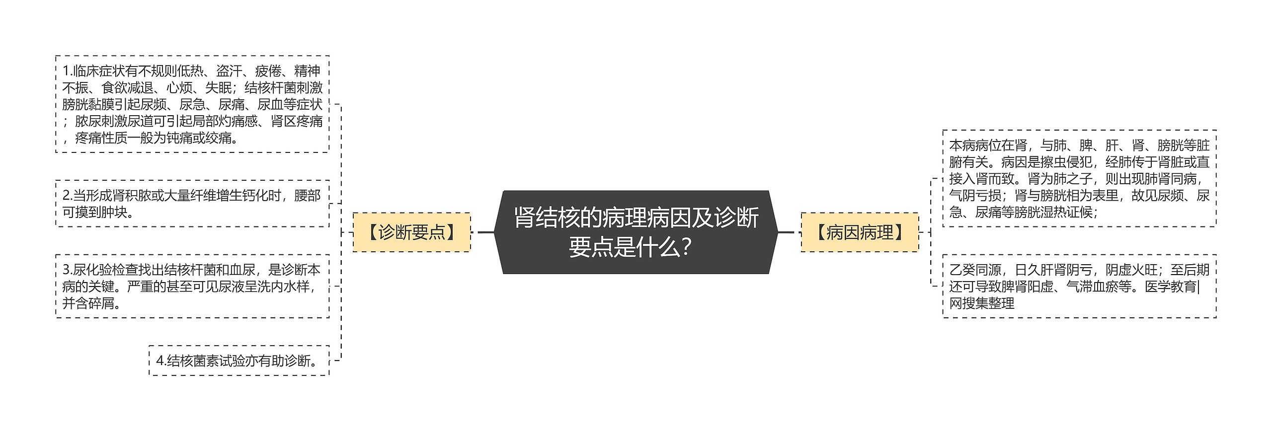 肾结核的病理病因及诊断要点是什么？思维导图