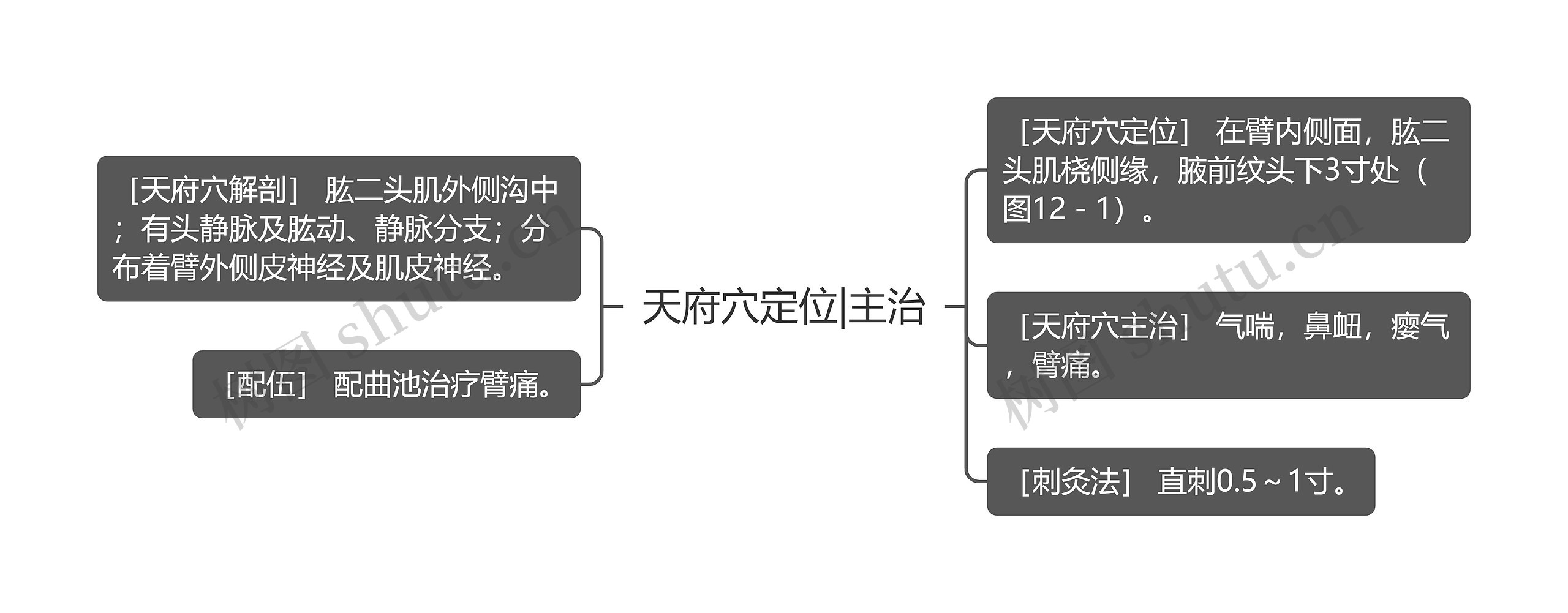 天府穴定位|主治