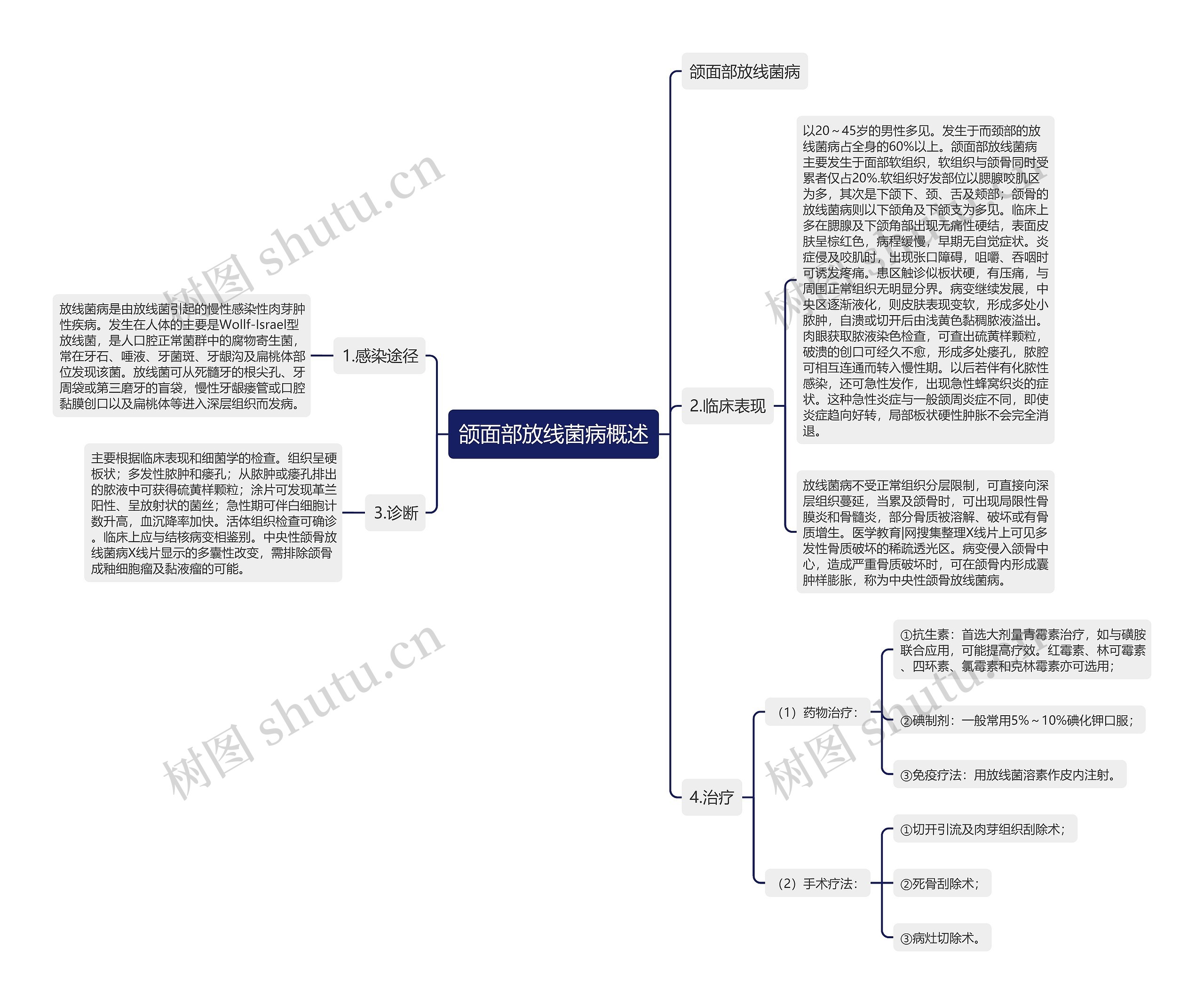 颌面部放线菌病概述思维导图