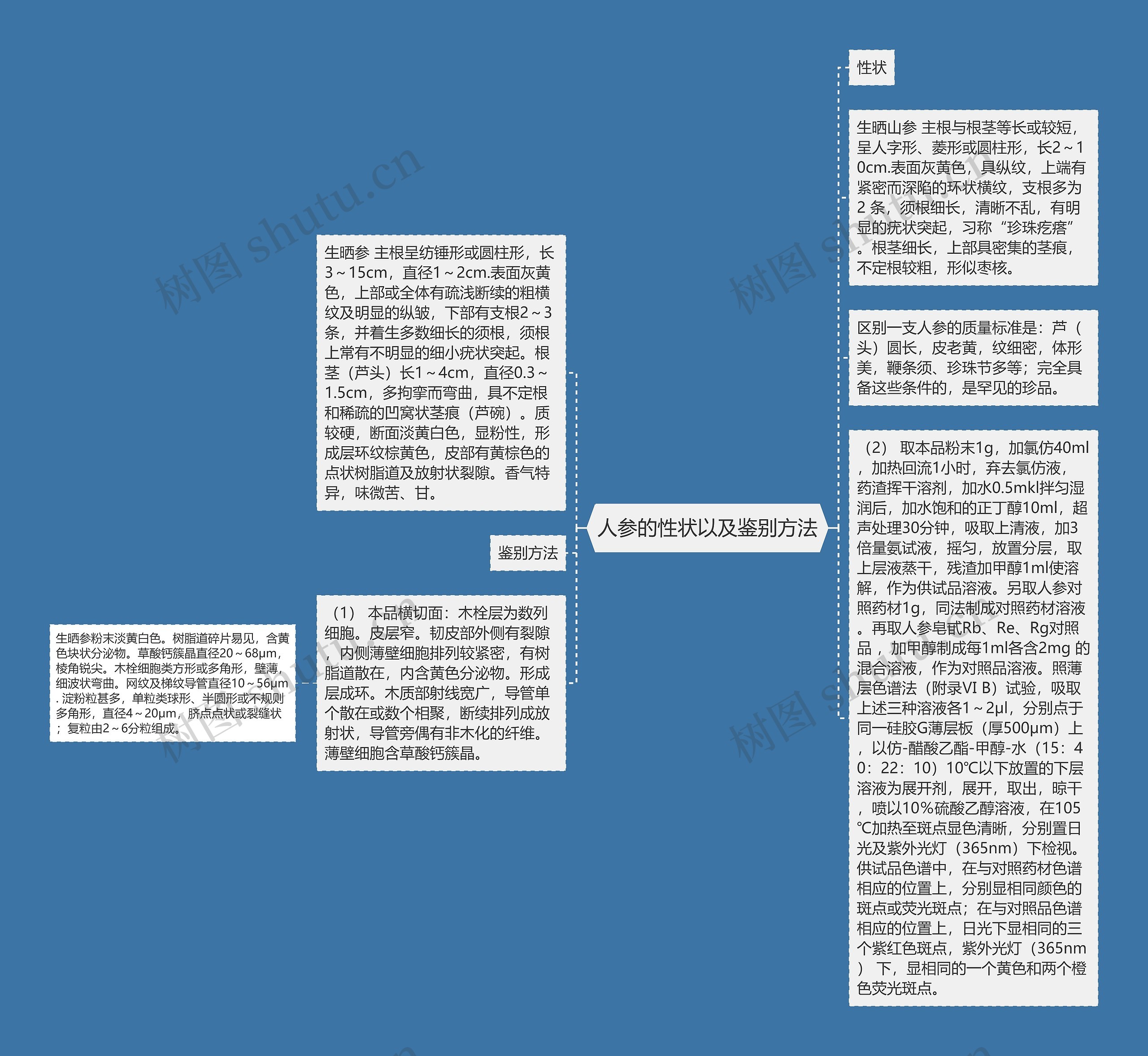 人参的性状以及鉴别方法思维导图