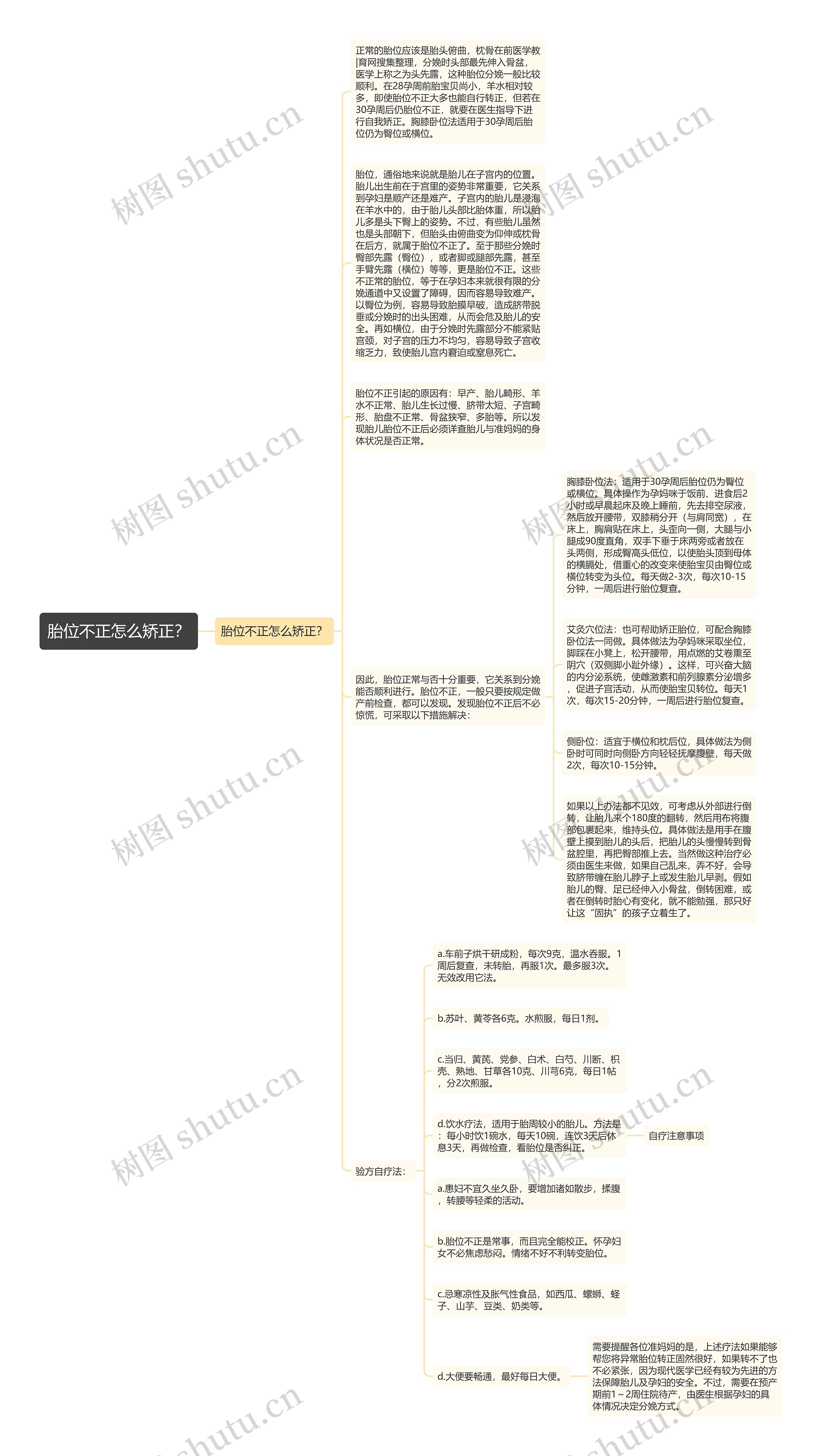 胎位不正怎么矫正？思维导图