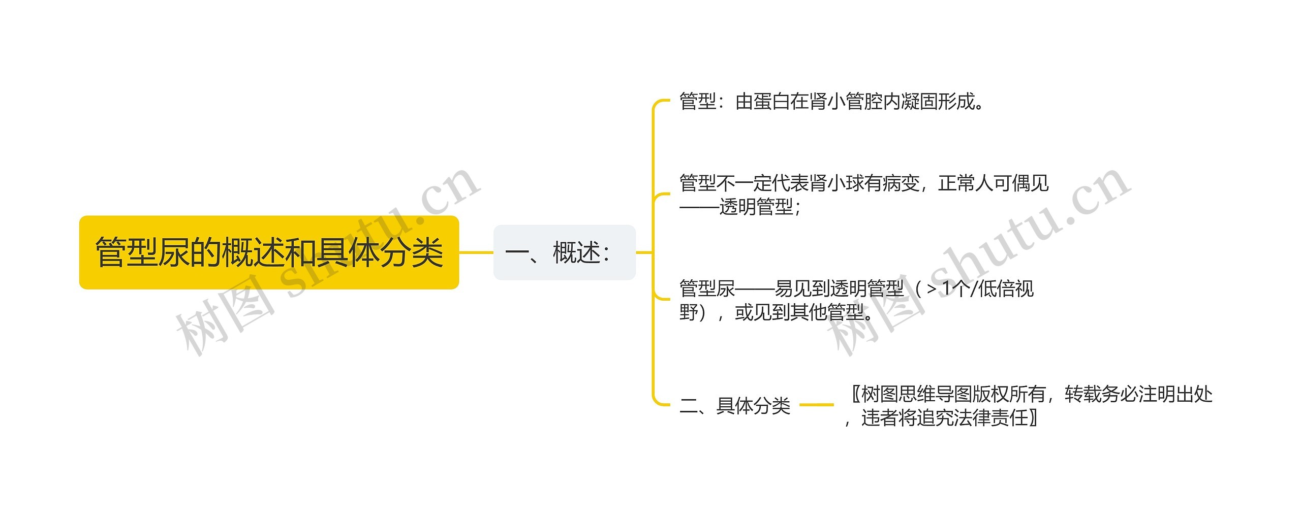 管型尿的概述和具体分类