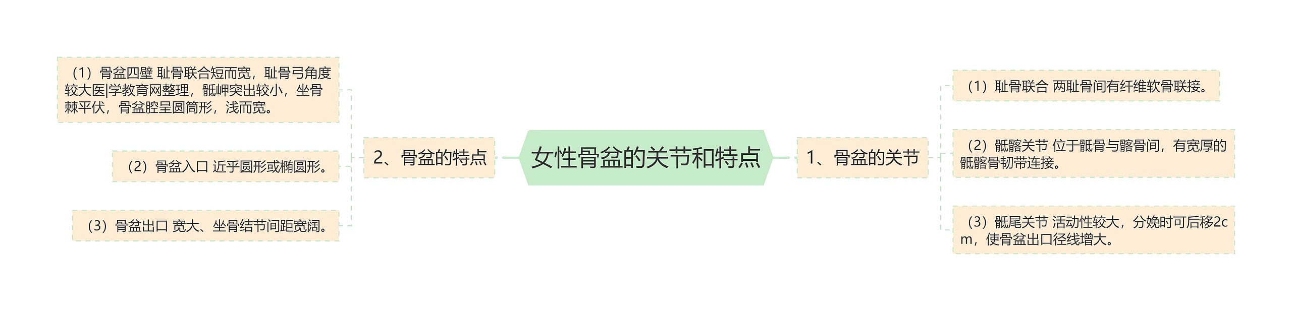 女性骨盆的关节和特点 女性骨盆的关节和特点