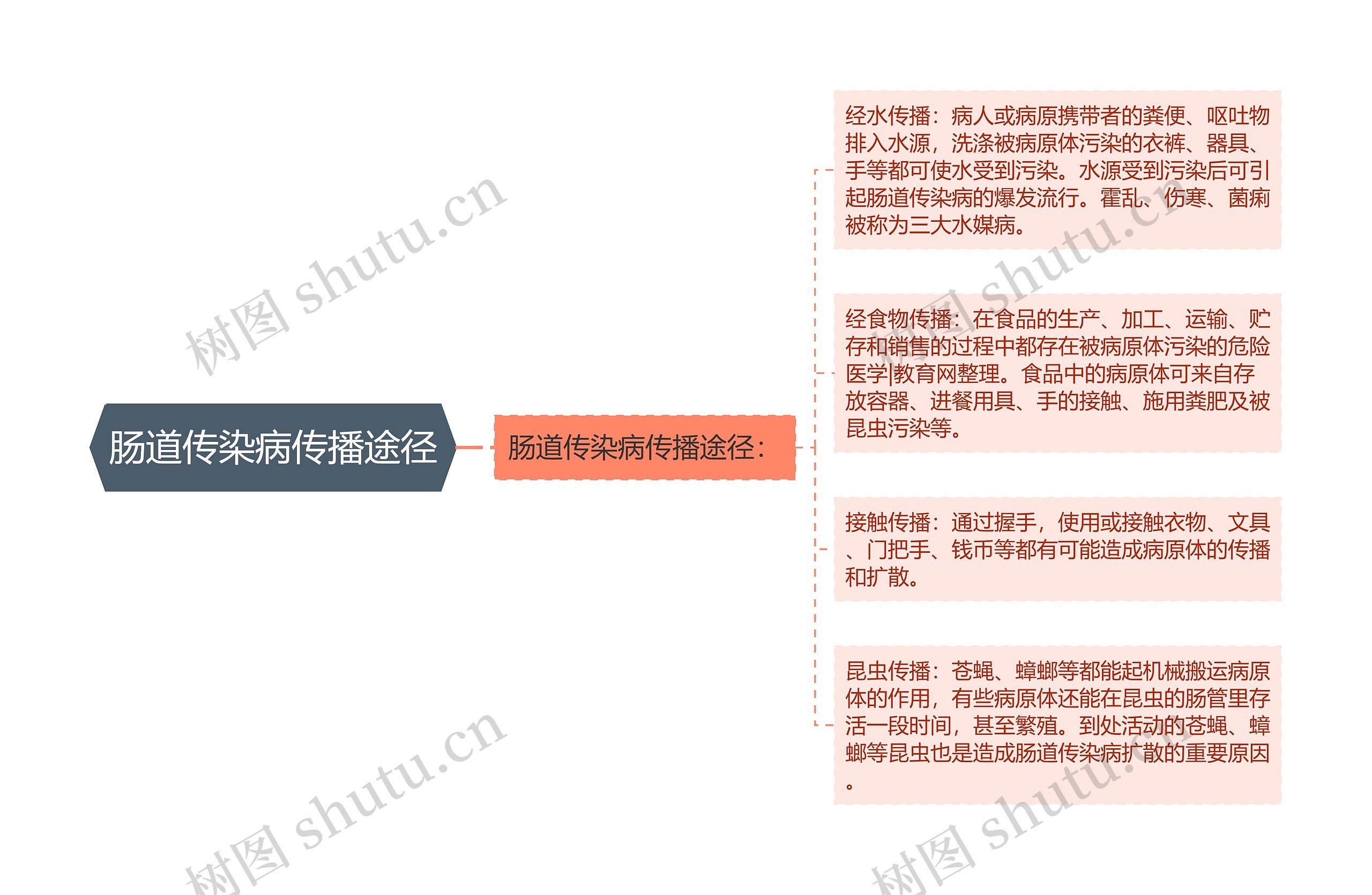 肠道传染病传播途径思维导图