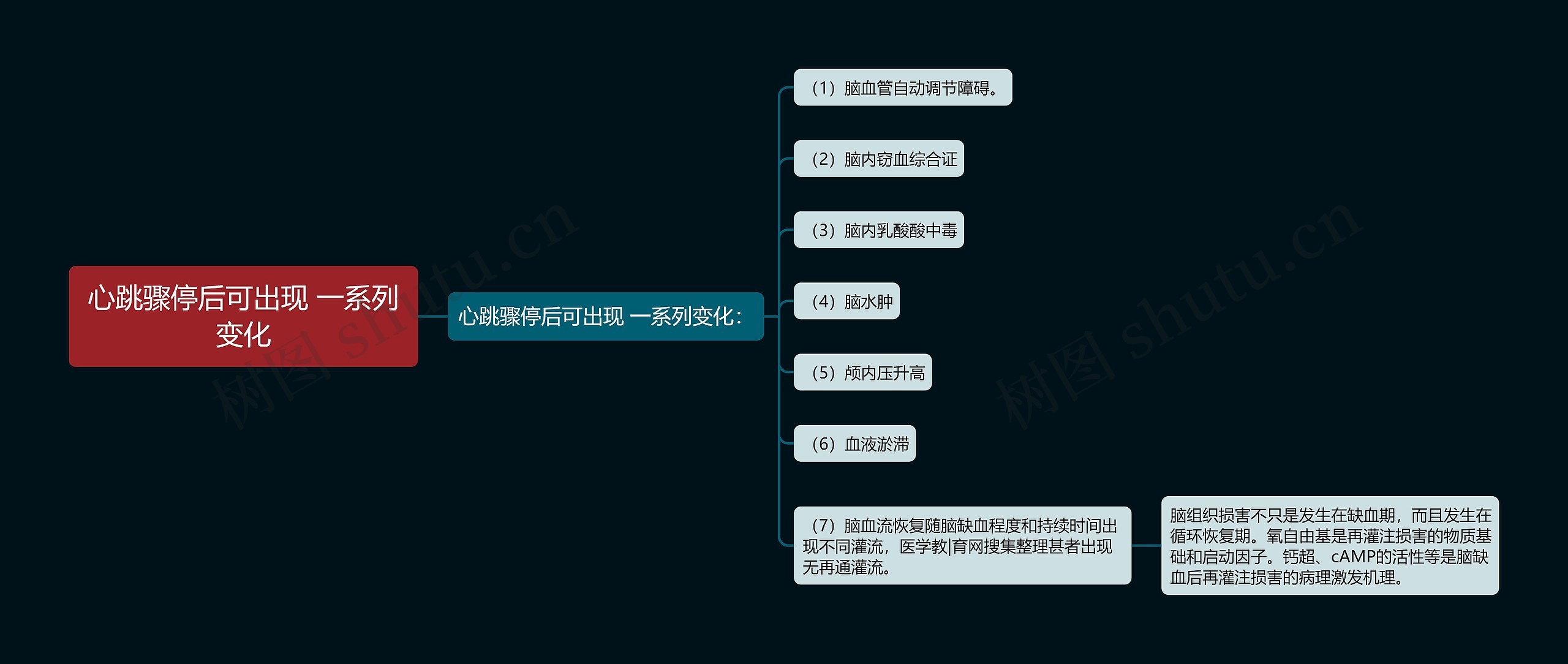 心跳骤停后可出现 一系列变化