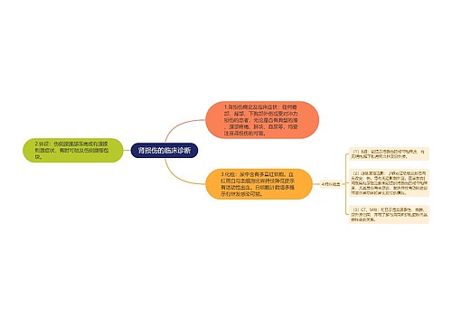 肾损伤的临床诊断