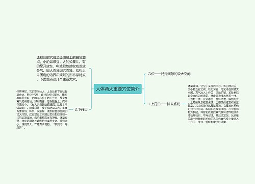 人体两大重要穴位简介