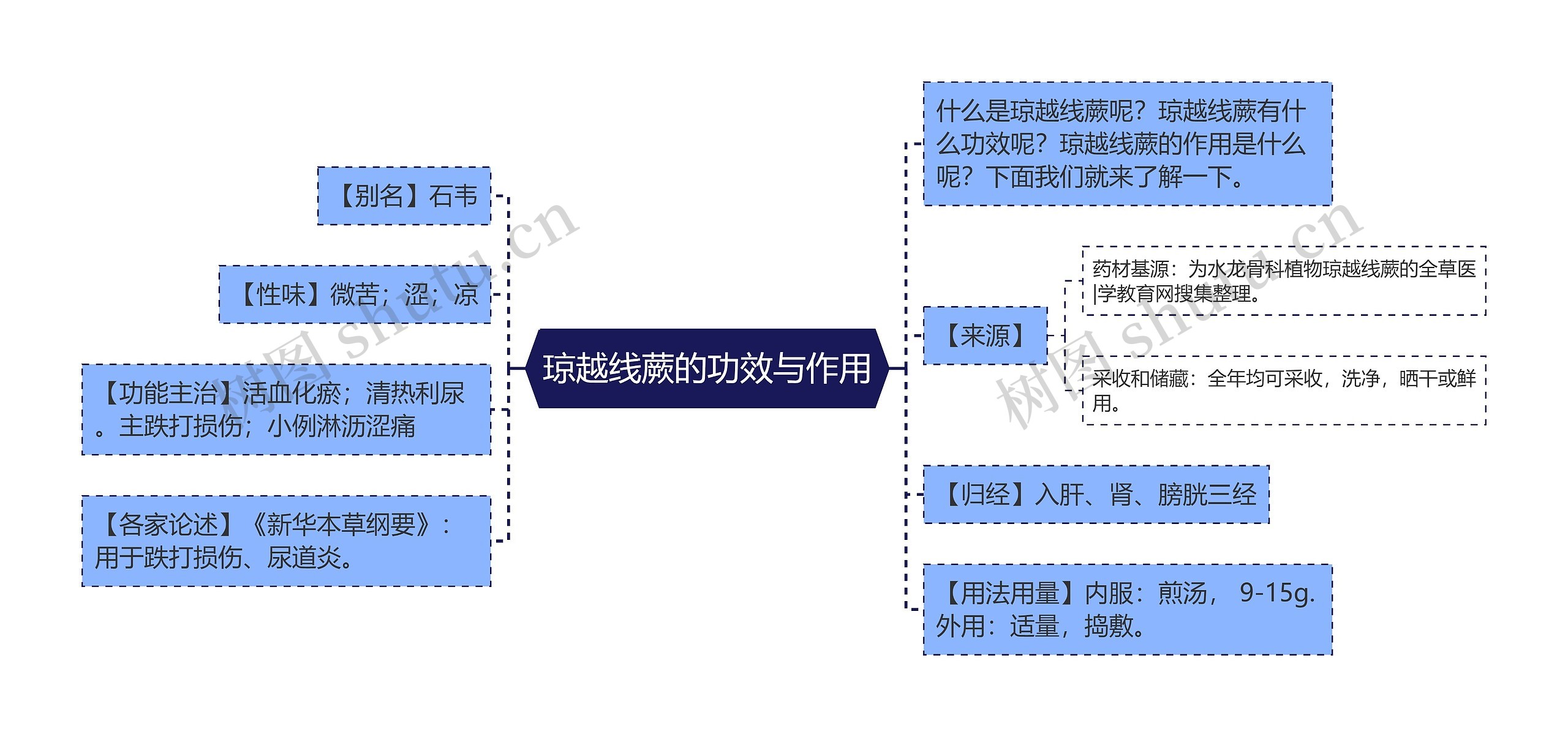 琼越线蕨的功效与作用思维导图