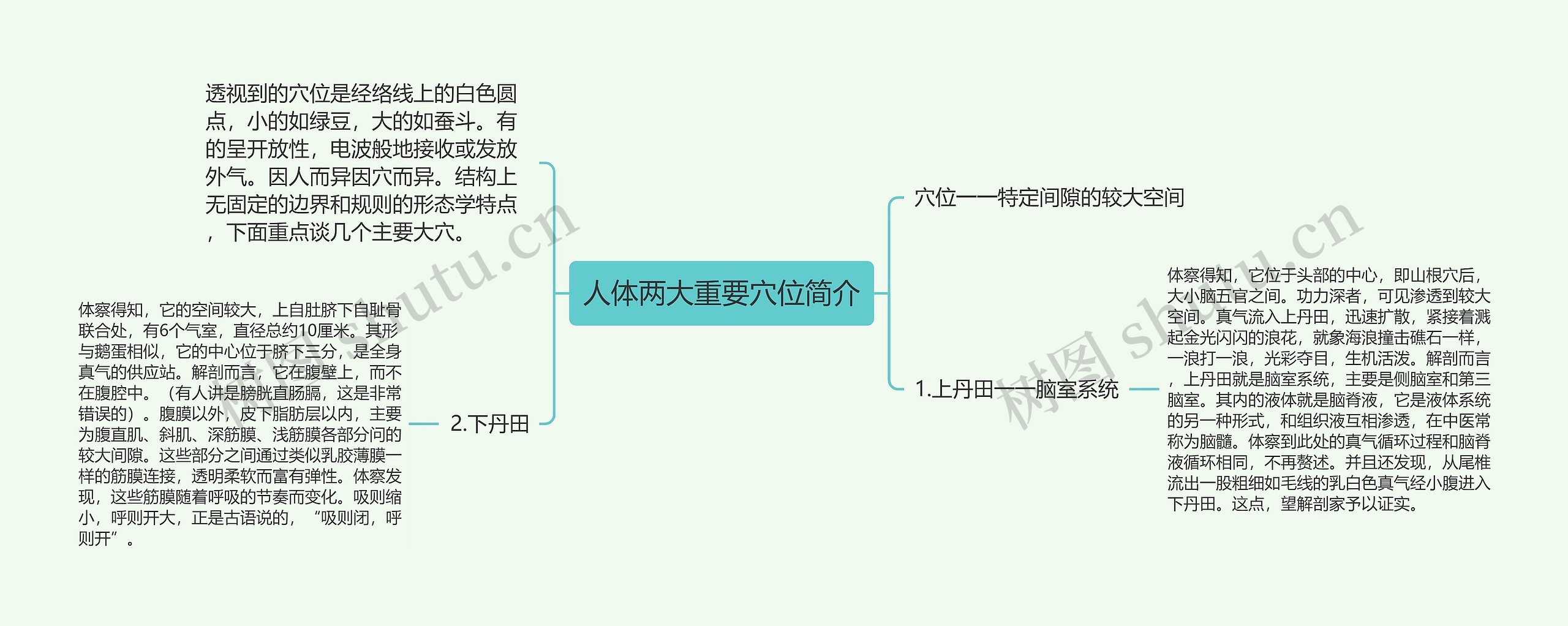 人体两大重要穴位简介思维导图