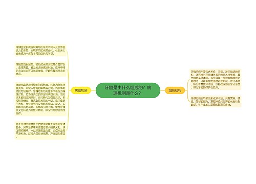 牙髓是由什么组成的？病理机制是什么？