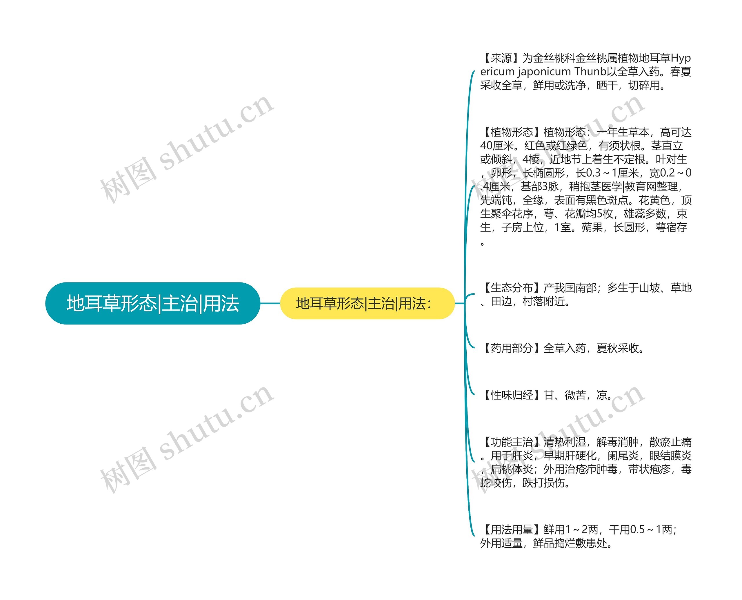 地耳草形态|主治|用法思维导图