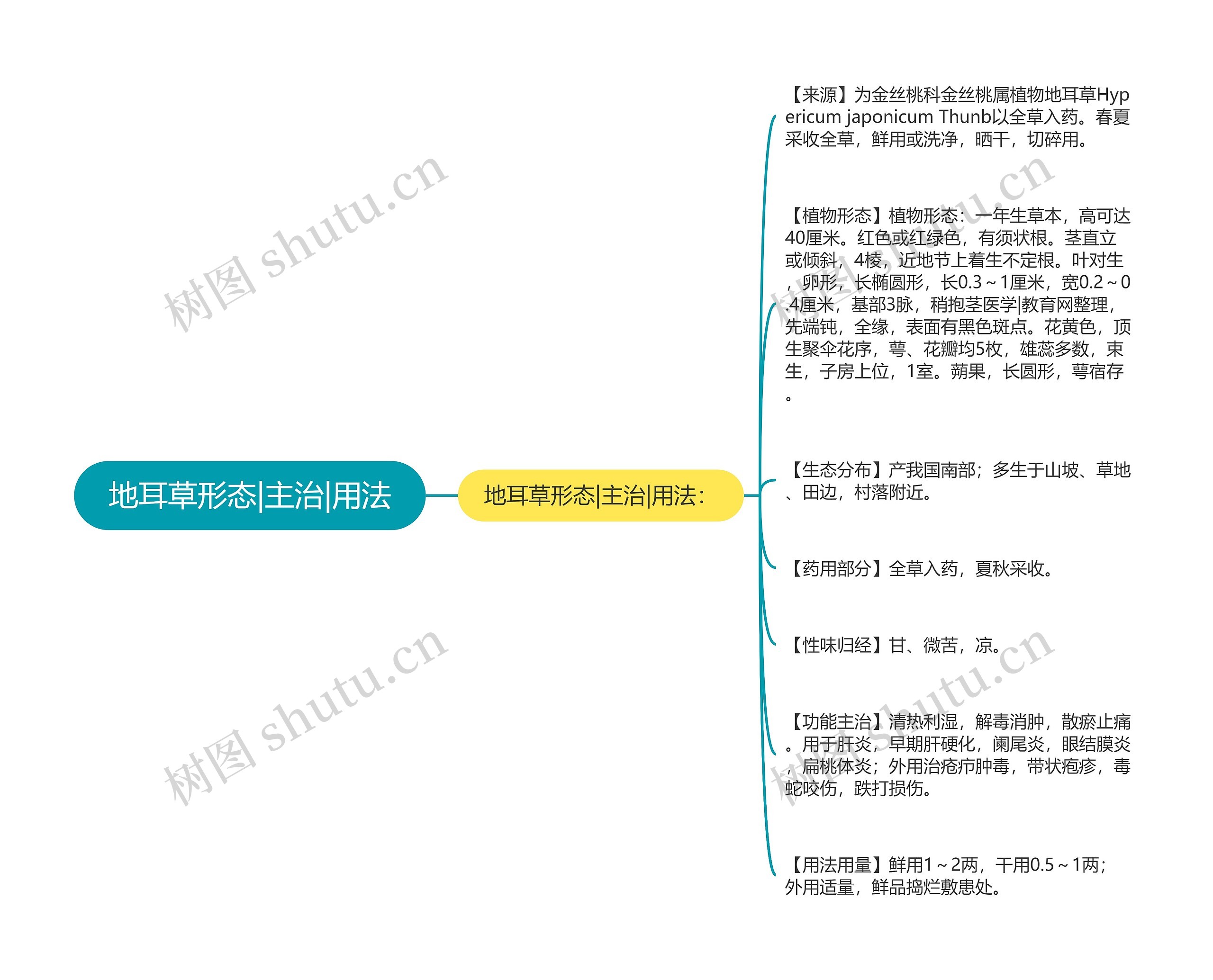 地耳草形态|主治|用法 地耳草形态|主治|用法