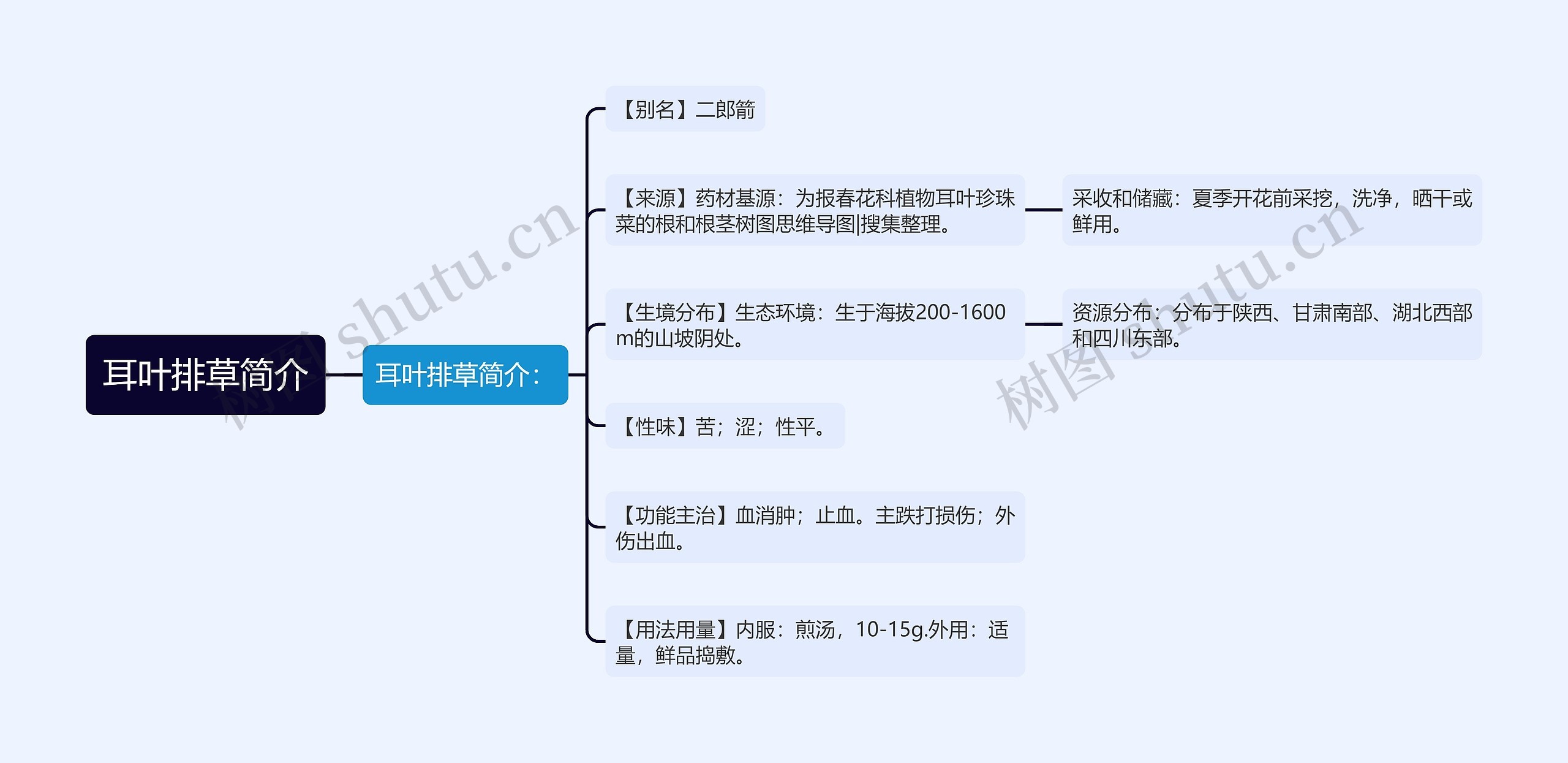 耳叶排草简介