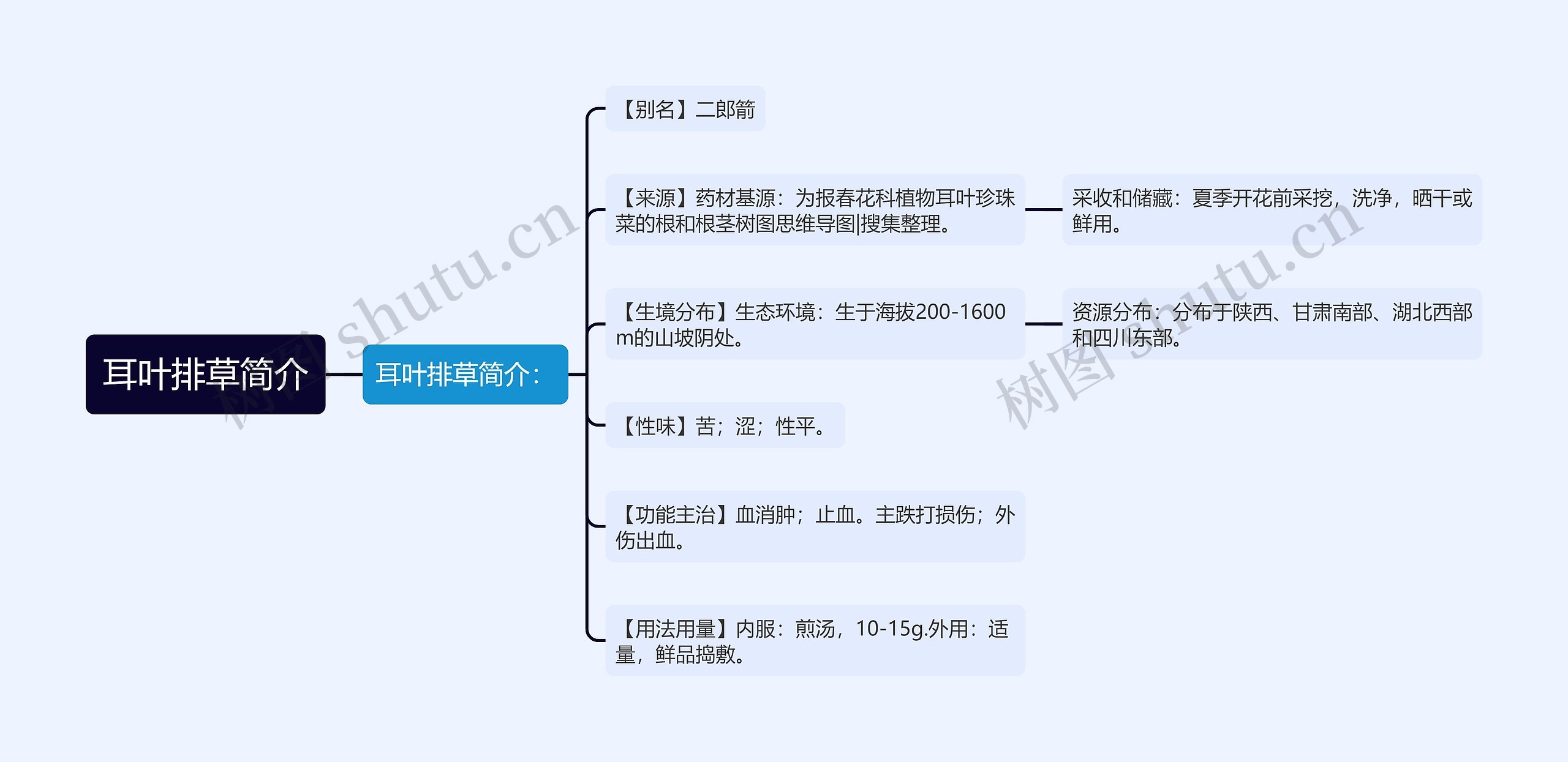 耳叶排草简介思维导图