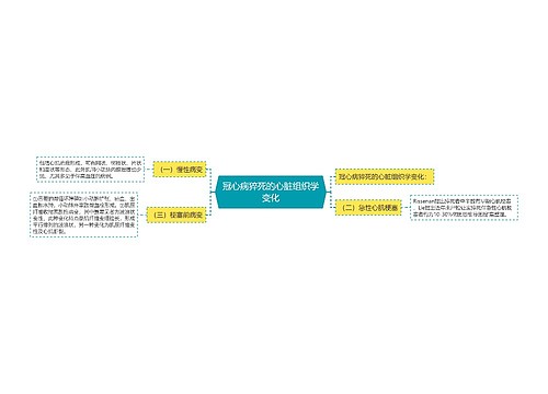 冠心病猝死的心脏组织学变化