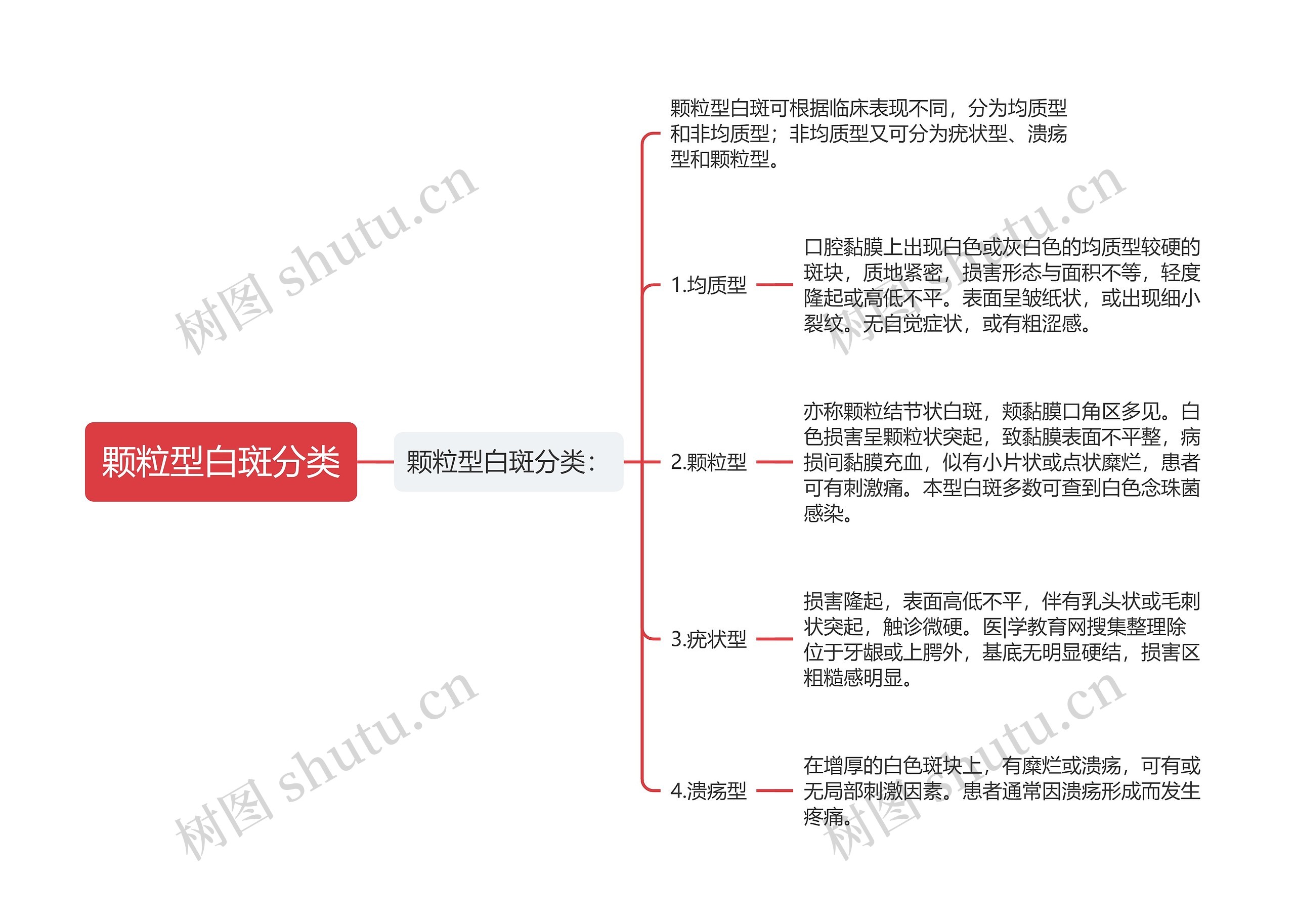 颗粒型白斑分类