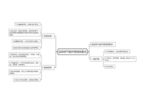 自发性气胸护理措施要点