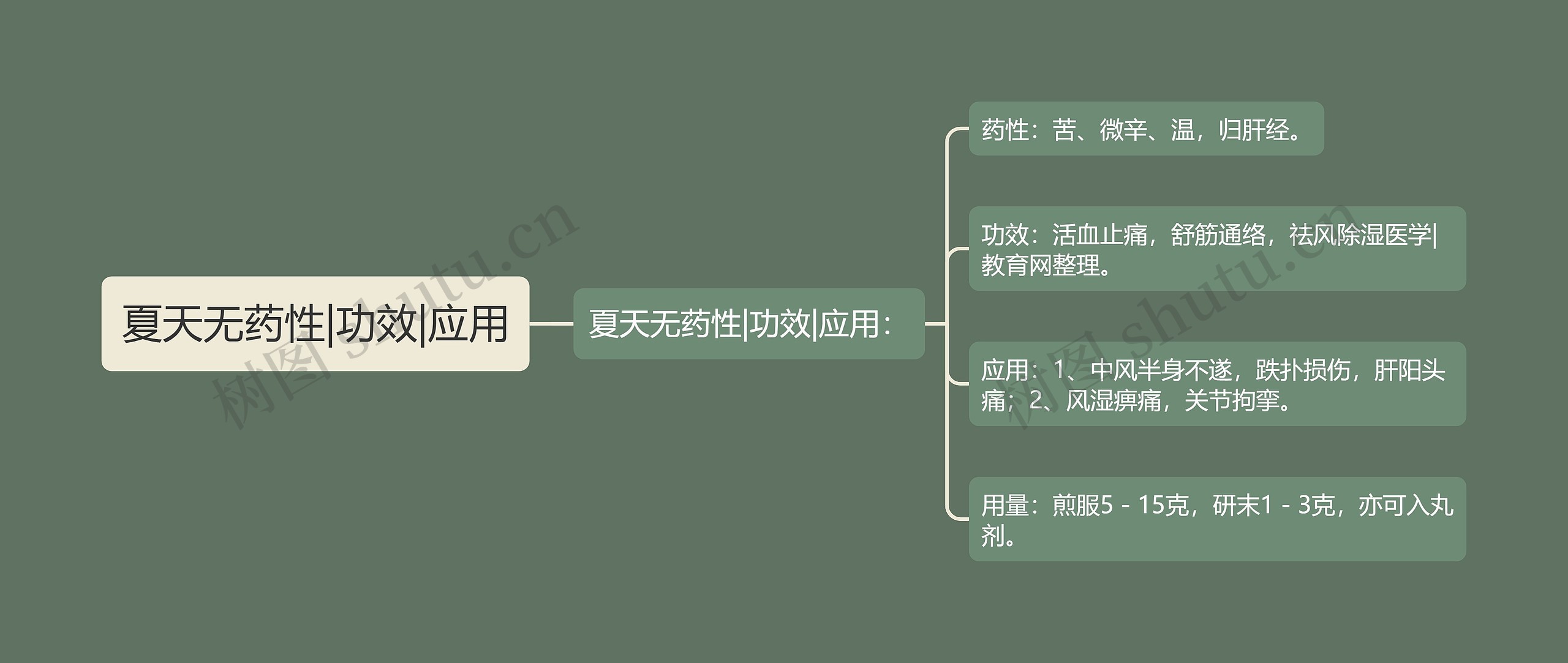 夏天无药性|功效|应用思维导图