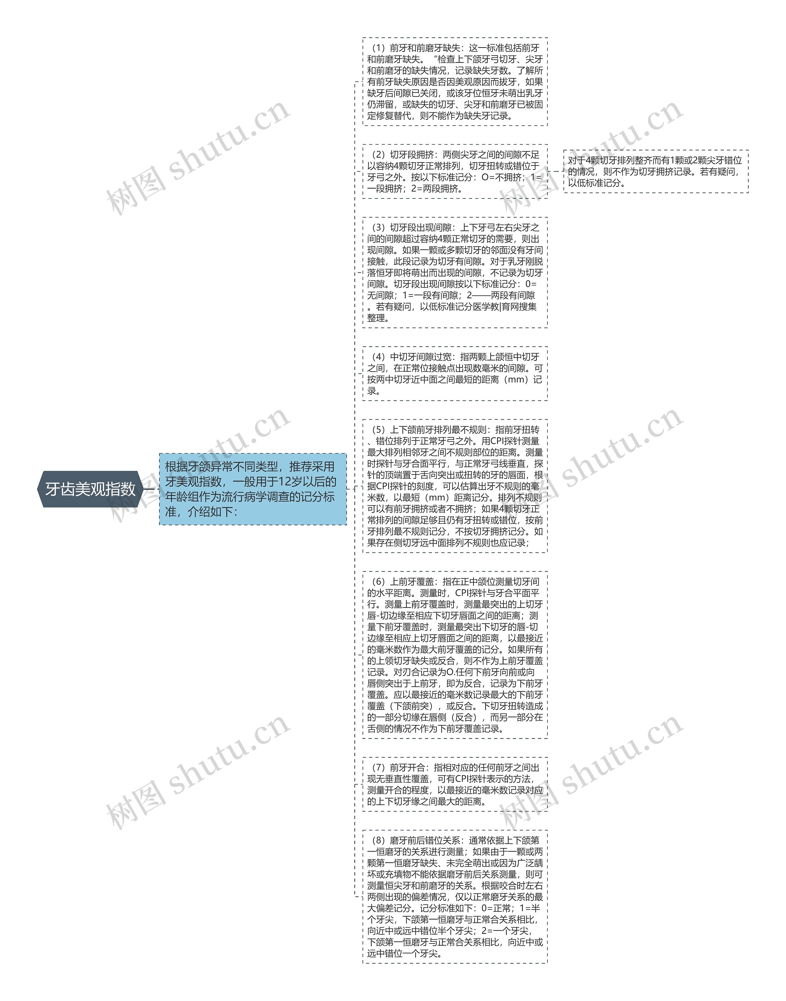 牙齿美观指数思维导图