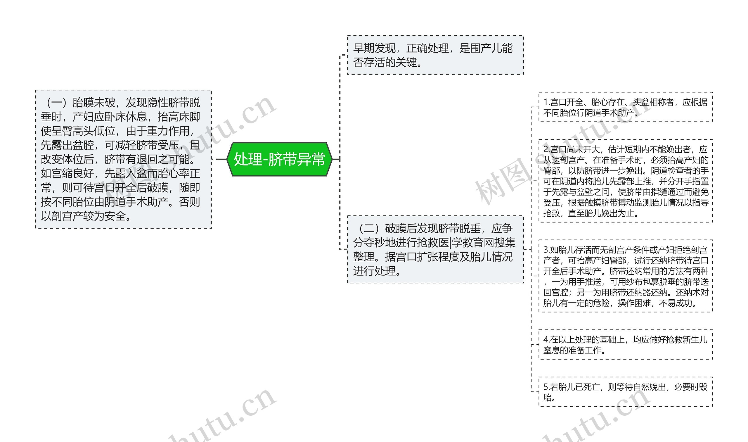 处理-脐带异常思维导图