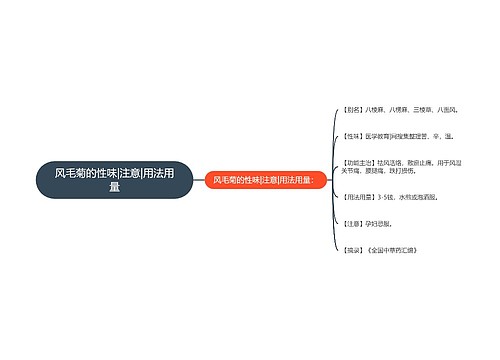 风毛菊的性味|注意|用法用量