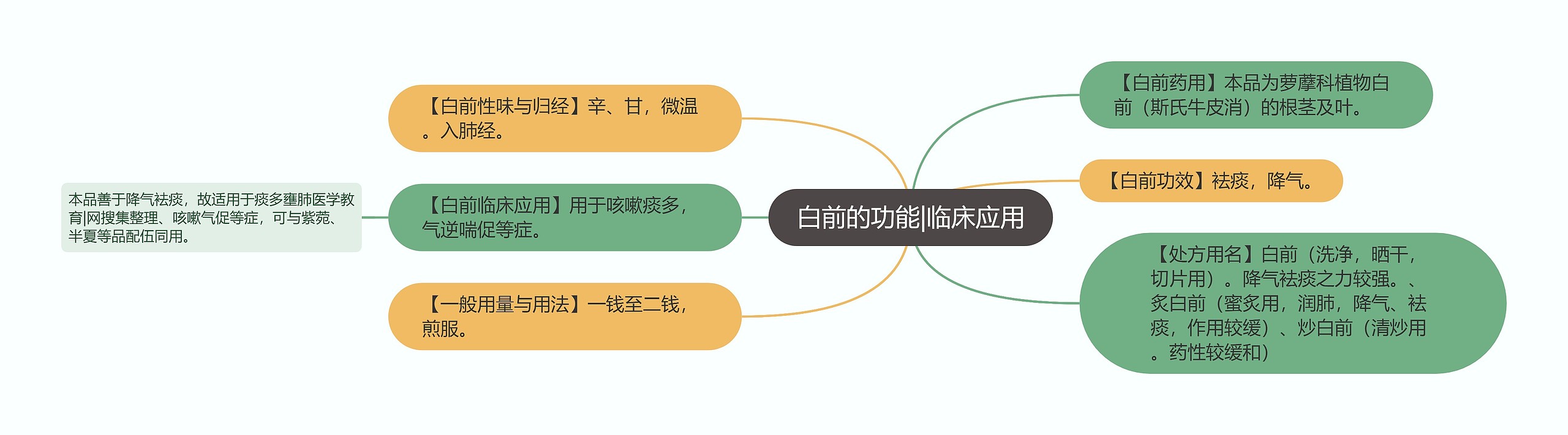 白前的功能|临床应用