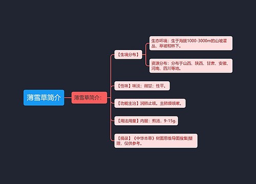 薄雪草简介