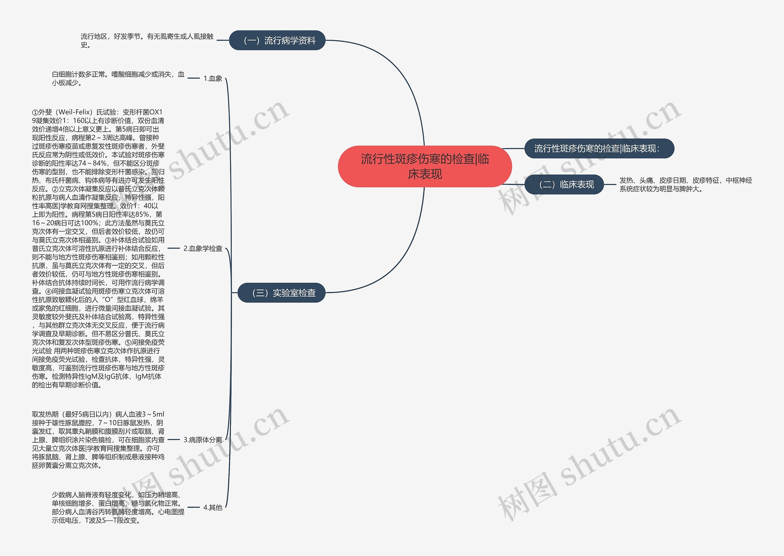 流行性斑疹伤寒的检查|临床表现思维导图