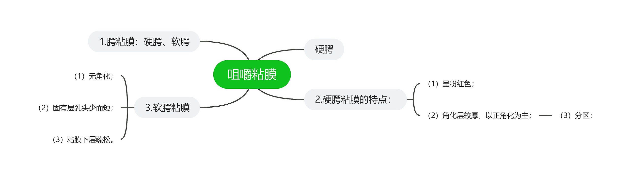 咀嚼粘膜思维导图