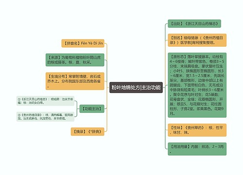 粉叶地锦处方|主治功能